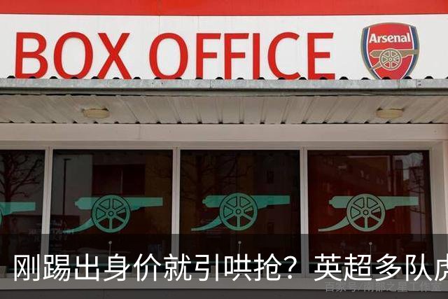刚踢出身价就引哄抢？英超多队虎视眈眈，阿森纳5200万新援成香饽饽！